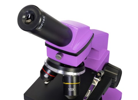 (TR) Mikroskop Levenhuk Rainbow 2L PLUS Amethyst\Ametyst (TR) Mikroskop Levenhuk Rainbow 2L PLUS Amethyst\Ametyst