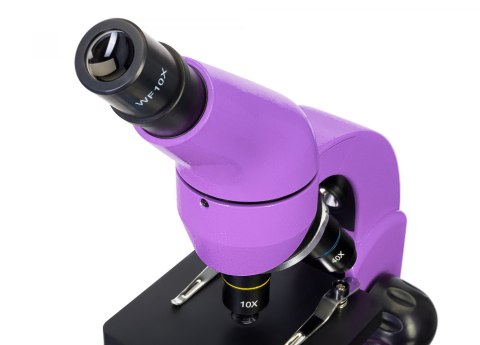 (TR) Mikroskop Levenhuk Rainbow 50L Amethyst\Ametyst (TR) Mikroskop Levenhuk Rainbow 50L Amethyst\Ametyst