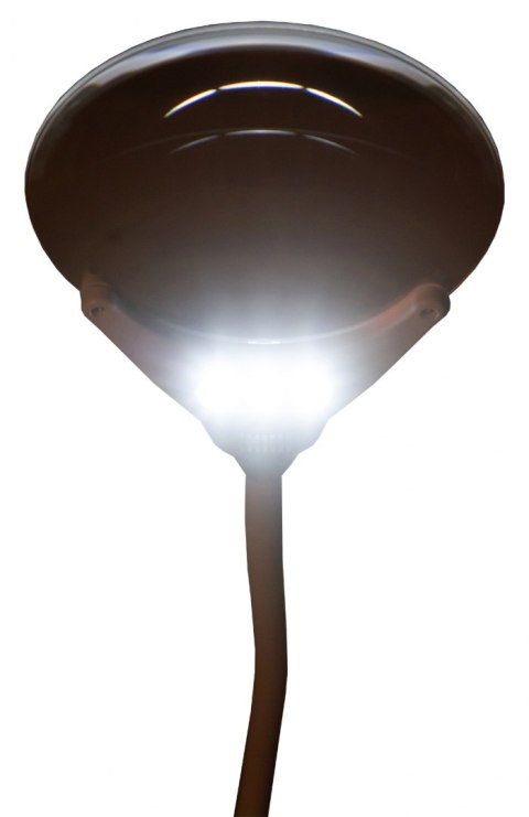 Czarna lupa Levenhuk Zeno Lamp ZL7 Czarna lupa Levenhuk Zeno Lamp ZL7
