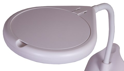 Lupa Levenhuk Zeno Desk D19 Lupa Levenhuk Zeno Desk D19