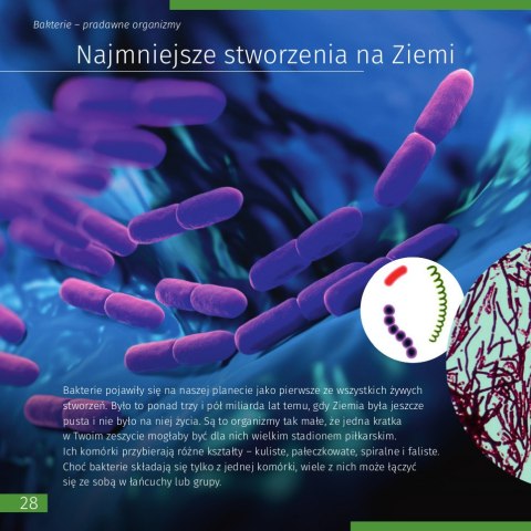(PL) Kosmos. Mikroświat. Książka (wydanie dwutomowe). Twarda oprawa (PL) Kosmos. Mikroświat. Książka (wydanie dwutomowe). Twarda oprawa