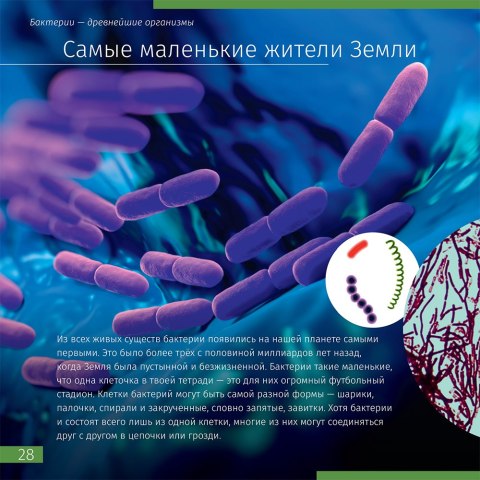 (RU) Kosmos. Mikroświat. Książka (wydanie dwutomowe). Twarda oprawa