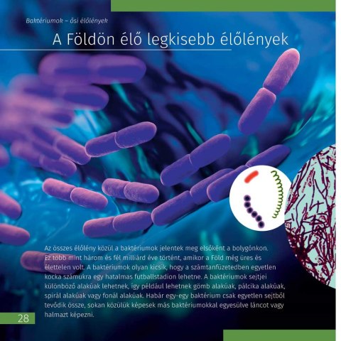 (HU) Kosmos. Mikroświat. Książka (wydanie dwutomowe). Twarda oprawa (HU) Kosmos. Mikroświat. Książka (wydanie dwutomowe). Twarda oprawa