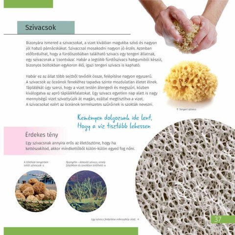 (HU) Kosmos. Mikroświat. Książka (wydanie dwutomowe). Twarda oprawa (HU) Kosmos. Mikroświat. Książka (wydanie dwutomowe). Twarda oprawa