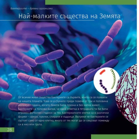 (BG) Kosmos. Mikroświat. Książka (wydanie dwutomowe). Twarda oprawa (BG) Kosmos. Mikroświat. Książka (wydanie dwutomowe). Twarda oprawa