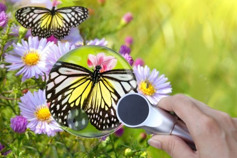 Lupa Levenhuk Zeno 400 z podświetleniem LED, 2/4x, 88/21 mm, metalowa