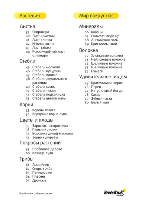 (RU) Zestaw preparatów Levenhuk N80 NG „Zobacz wszystko" (RU) Zestaw preparatów Levenhuk N80 NG „Zobacz wszystko"