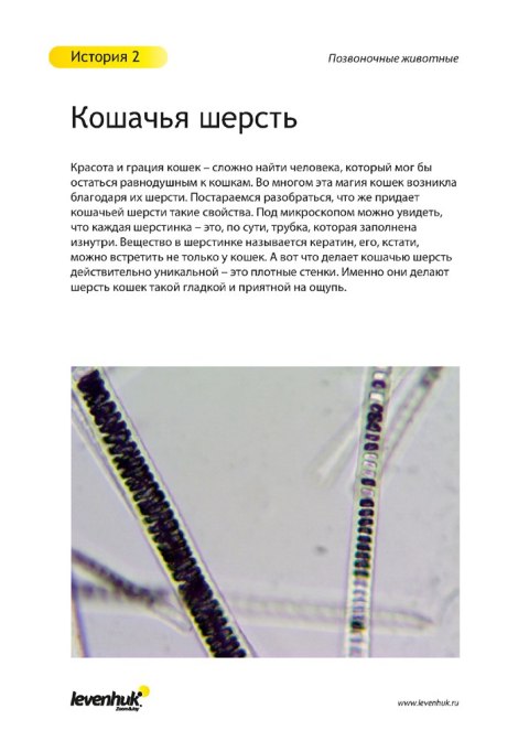 (RU) Zestaw preparatów Levenhuk N80 NG „Zobacz wszystko" (RU) Zestaw preparatów Levenhuk N80 NG „Zobacz wszystko"