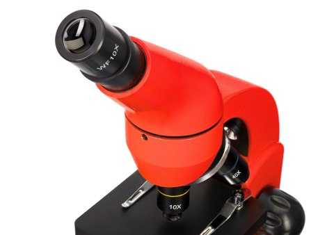 (CZ) Mikroskop Levenhuk Rainbow 50L Orange\Pomarańcza