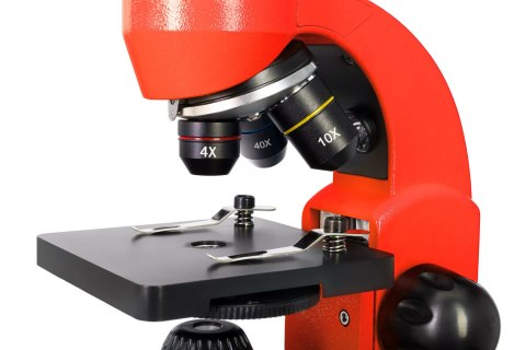 (CZ) Mikroskop Levenhuk Rainbow 50L Orange\Pomarańcza