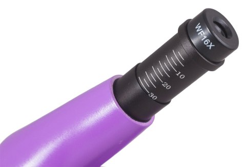 (EN) Mikroskop Levenhuk Rainbow 50L PLUS Amethyst\Ametyst