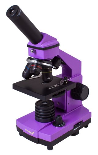 (ES) Mikroskop Levenhuk Rainbow 2L PLUS Amethyst\Ametyst