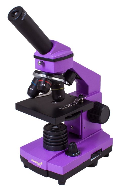 (ES) Mikroskop Levenhuk Rainbow 2L PLUS Amethyst\Ametyst