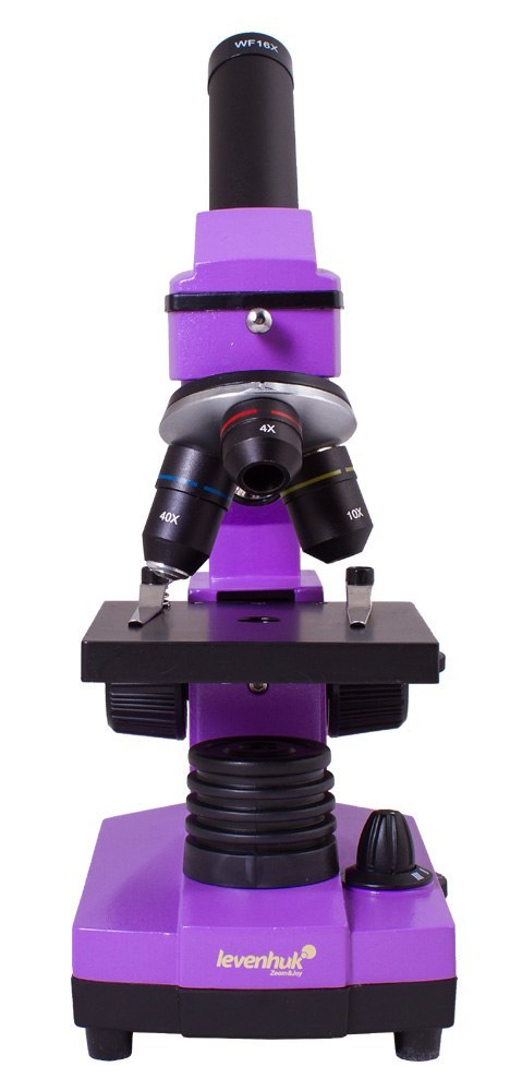 (ES) Mikroskop Levenhuk Rainbow 2L PLUS Amethyst\Ametyst
