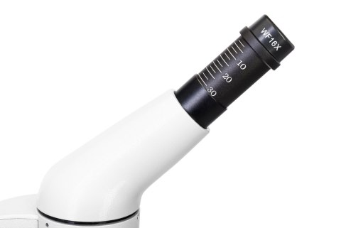 (ES) Mikroskop cyfrowy Levenhuk Rainbow D50L PLUS 2M, Moonstone\Kamień księżycowy