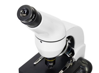 (HU) Mikroskop cyfrowy Levenhuk Rainbow D50L PLUS 2M, Moonstone\Kamień księżycowy