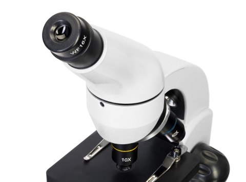(HU) Mikroskop cyfrowy Levenhuk Rainbow D50L PLUS 2M, Moonstone\Kamień księżycowy