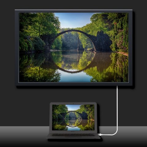 Qoltec DisplayPort Alternate mode | USB 3.1 typ C męski | Displayport męski | 5K | 1m Qoltec DisplayPort Alternate mode | USB 3.1 typ C męski | Displayport męski | 5K | 1m