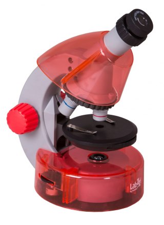 (PL) Mikroskop Levenhuk LabZZ M101 Orange\Pomarańcza