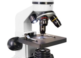 (RU) Levenhuk Rainbow D2L 0.3M Digital Microscope, Moonstone