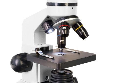 (RU) Levenhuk Rainbow D2L 0.3M Digital Microscope, Moonstone
