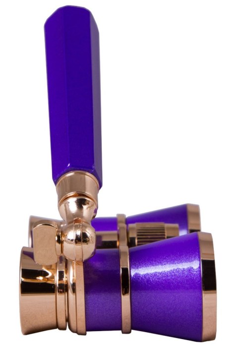 Lorgnon Levenhuk Broadway 325L Amethyst/Ametyst
