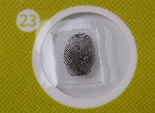 Zestaw preparatów roślinnych Levenhuk LabZZ P12