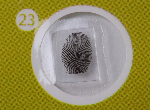 Zestaw preparatów roślinnych Levenhuk LabZZ P12