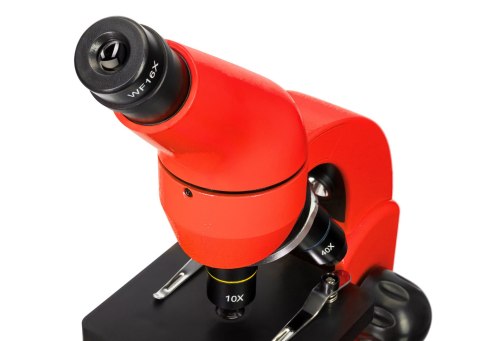 (BG) Mikroskop Levenhuk Rainbow 50L PLUS Orange\Pomarańcza