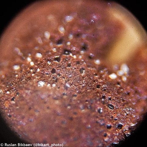 (EN) Mikroskop Levenhuk Rainbow 50L PLUS Moonstone\Kamień Księżycowy