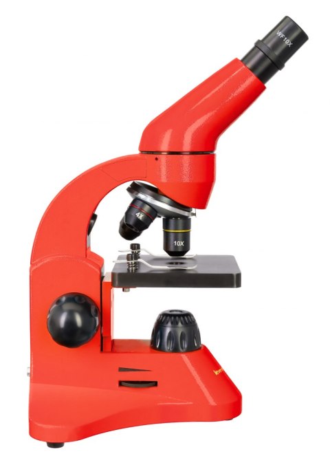 (ES) Mikroskop Levenhuk Rainbow 50L Orange\Pomarańcza (ES) Mikroskop Levenhuk Rainbow 50L Orange\Pomarańcza