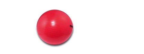 Piłka gimnastyczna SPARTAN 75 cm Piłka gimnastyczna SPARTAN 75 cm