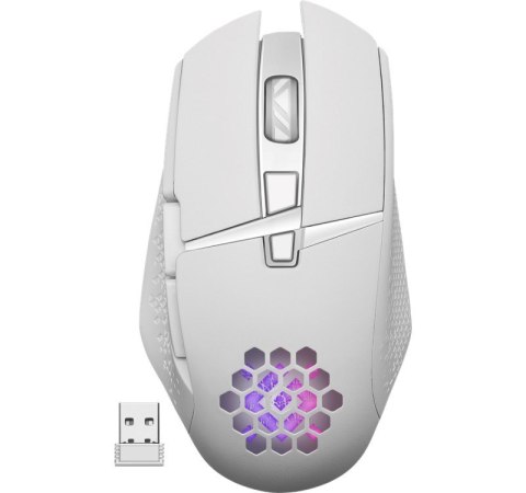 DEFENDER MYSZ GM-514 GLORY OPTIC RF RGB 3200DPI 7P BIAŁA 52513 DEFENDER MYSZ GM-514 GLORY OPTIC RF RGB 3200DPI 7P BIAŁA 52513