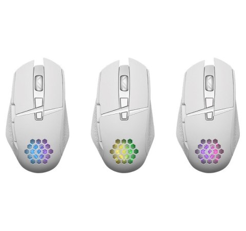 DEFENDER MYSZ GM-514 GLORY OPTIC RF RGB 3200DPI 7P BIAŁA 52513 DEFENDER MYSZ GM-514 GLORY OPTIC RF RGB 3200DPI 7P BIAŁA 52513
