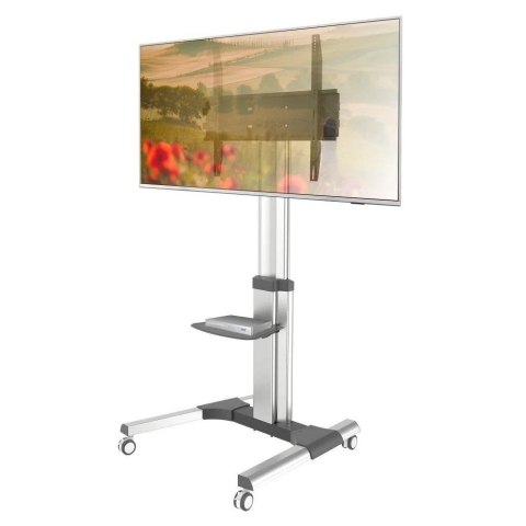 Stojak mobilny Techly 50"-92", 70kg, z półką AV Stojak mobilny Techly 50"-92", 70kg, z półką AV