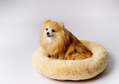 Legowisko SHAGGY kremowy M 57x57x10