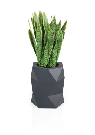 DESIGNERSKA DONICA MONUMO MODENA ANTRACYT