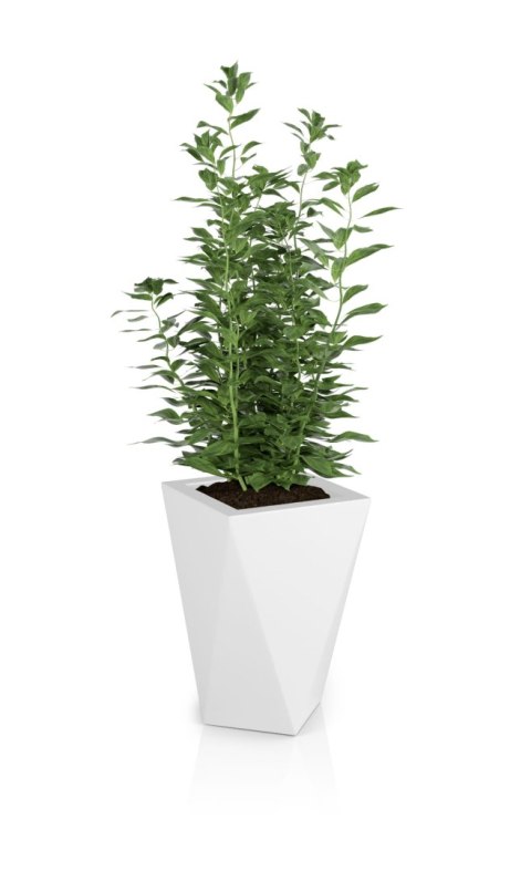 DESIGNERSKA DONICA MONUMO VASO BIAŁA