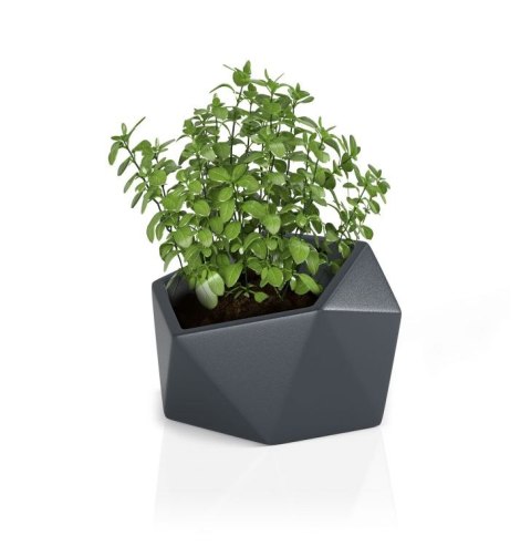 DESIGNERSKA DONICA MONUMO VESARI ANTRACYTOWA