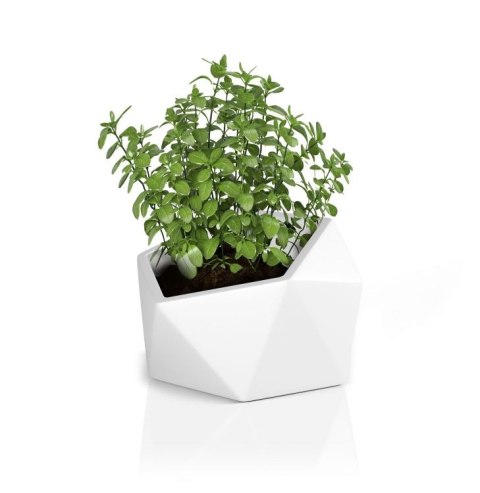 DESIGNERSKA DONICA MONUMO VESARI ANTRACYTOWA