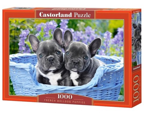 CASTORLAND Puzzle 1000 elementów French Bulldog Puppies - Buldogi francuskie 68x47cm CASTORLAND Puzzle 1000 elementów French Bulldog Puppies - Buldogi francuskie 68x47cm