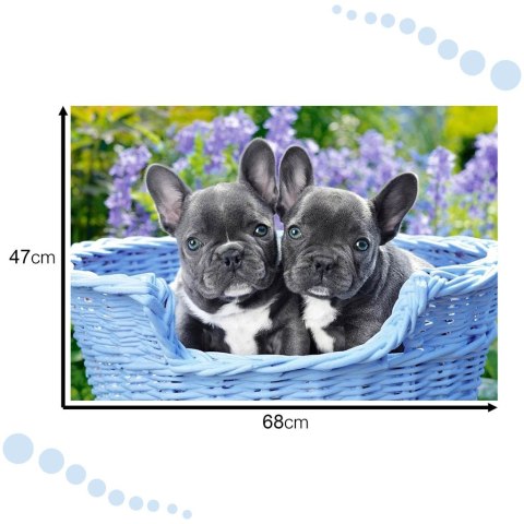 CASTORLAND Puzzle 1000 elementów French Bulldog Puppies - Buldogi francuskie 68x47cm CASTORLAND Puzzle 1000 elementów French Bulldog Puppies - Buldogi francuskie 68x47cm