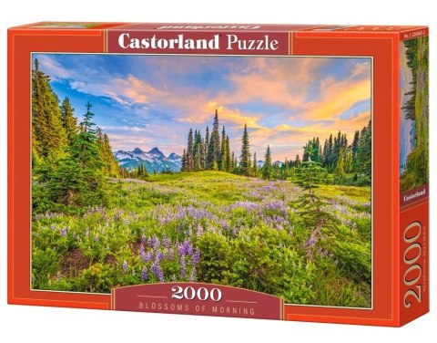 CASTORLAND Puzzle 2000 elementów Blossoms of Morning - Krajobraz 92x68cm CASTORLAND Puzzle 2000 elementów Blossoms of Morning - Krajobraz 92x68cm