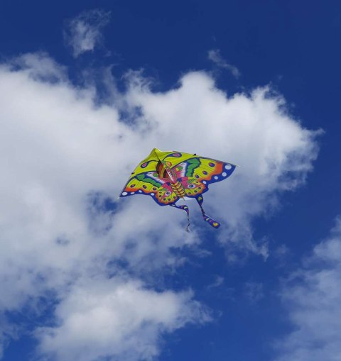 Latawiec duży 90cm motyl niebieski