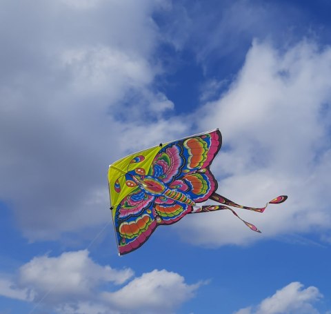 Latawiec duży 90cm motyl różowy