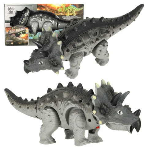 Dinozaur Triceratops chodzi świeci ryczy Dinozaur Triceratops chodzi świeci ryczy
