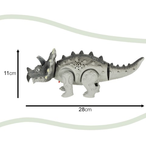 Dinozaur Triceratops chodzi świeci ryczy Dinozaur Triceratops chodzi świeci ryczy