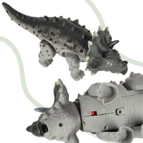 Dinozaur Triceratops chodzi świeci ryczy Dinozaur Triceratops chodzi świeci ryczy