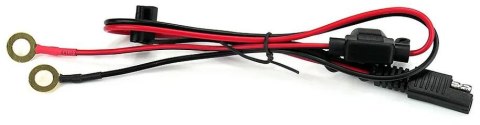 Ładowarka prostownik do akumulatorów 6V/12V everActive 14.8V/3.8A CBC-5 Ładowarka prostownik do akumulatorów 6V/12V everActive 14.8V/3.8A CBC-5