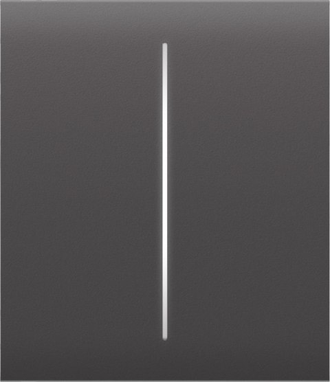 AJAX Button (grey) CenterButton (2-gang)